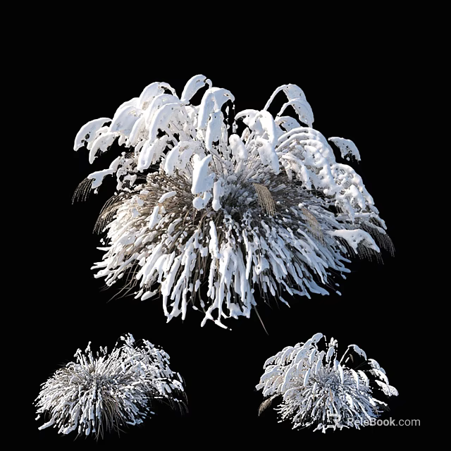 Frosted Chrysanthemum Flowers With White Fluffy Petals And Delicate Structure 3d model 