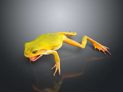 Vibrant Yellow Reptile With Open Mouth And Orange Legs On Dark Background 3d model