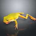Vibrant Yellow Reptile With Open Mouth And Orange Legs On Dark Background