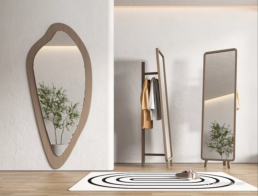 Irregular Shape Decorative Mirror In Modern Interior With Clothes Rack Green Plant And Spiral Rug 3d model 