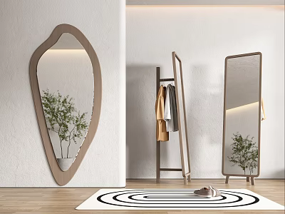 Irregular Shape Decorative Mirror In Modern Interior With Clothes Rack Green Plant And Spiral Rug 3d model