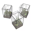 Bonsai Potted Plant With Cactus Succulents And Small Stones In Glass Container For Indoor Decor