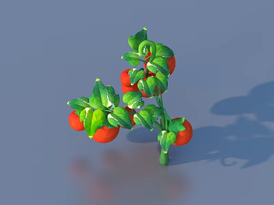 Fresh Tomato Plant With Red Ripe Fruits And Green Leaves On Vine 3d model