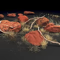 Natural Arrangement of Red Rocks Dry Grass and Branches on Black Background