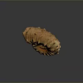 Chi chrysanthemum stone ancient fossil stone chrysanthemum fossil items 3d model