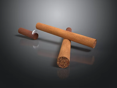 Classic Premium Cigars In Crossed Arrangement With Wooden Mouthpiece And Smooth Texture 3d model