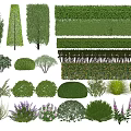 Diverse Garden Plant Combinations with Trees Shrubs Hedges and Flowering Plants