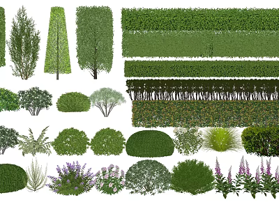 Diverse Garden Plant Combinations with Trees Shrubs Hedges and Flowering Plants 3d model