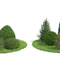 Lush Garden Shrubs With Green Grass And Varied Shapes In Landscape Design