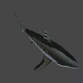 Realistic Shark Game Movie Character with Sharp Teeth and Streamlined Body