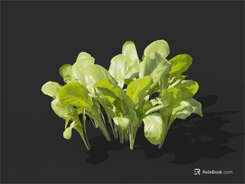 Fresh Organic Green Leafy Vegetables With Crisp Stems And Vibrant Leaves 3d model 