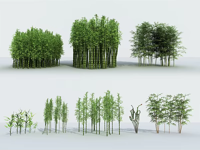 Diverse Bamboo Varieties Featuring Clusters Single Stems Different Heights And Lush Foliage 3d model