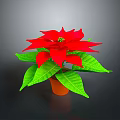 Vibrant Poinsettia Plant With Red Blooms And Lush Green Leaves In Brown Pot