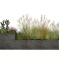 Potted Bonsai Plants With Succulents Grasses And Cacti In Concrete Planters