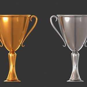 Trophy Silver Cup Medal Gold Cup Silver Cup Bronze Cup Grammy Award Golden Horse Award Flying Award Oz 3d model