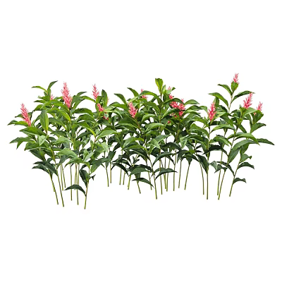 Vibrant Pink Flowers with Lush Green Leaves in Row Plant Arrangement 3d model