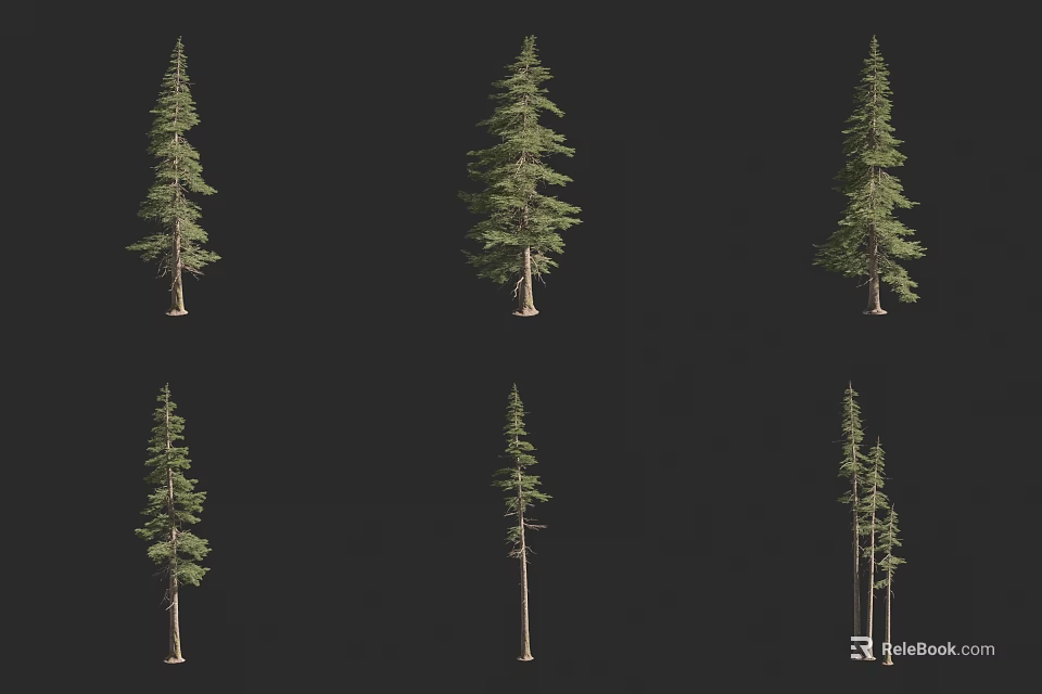 Various Arbor Tree Varieties Displayed In Different Forms On Black Background 3d model 