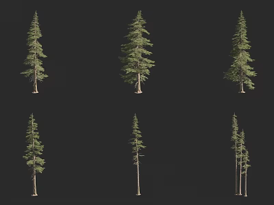 Various Arbor Tree Varieties Displayed In Different Forms On Black Background 3d model