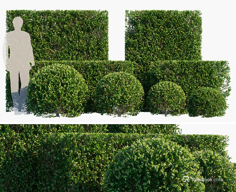 Well Trimmed Various Shaped Shrubs For Garden Landscape Design 3d model 