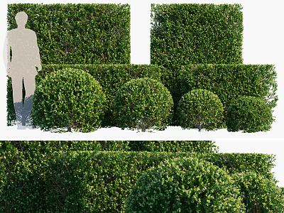 Well Trimmed Various Shaped Shrubs For Garden Landscape Design 3d model