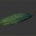 Fresh Green Bitter Melon With Rough Surface On Dark Background 3d model