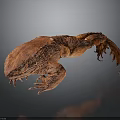 Realistic 3D Rendered Red Salamander with Textured Skin and Detailed Features on Dark Background