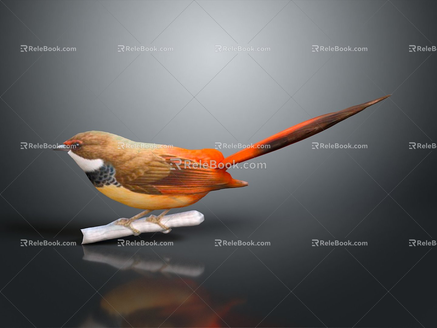 bird bird bird bird animal game animal cartoon animal 3d model