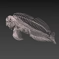 Detailed Fish Skeleton Anatomical Structure With White Bones Against Black Background 3d model