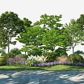 Modern Tree Landscape Plant Combination 3d model