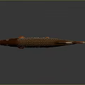 Brown Spotted Pike Fish With Orange Fins And Tail On Gray Background With Reflection