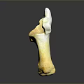 Handmade Wood And Stone Decorative Sculpture With Smooth Yellow White Natural Texture Design