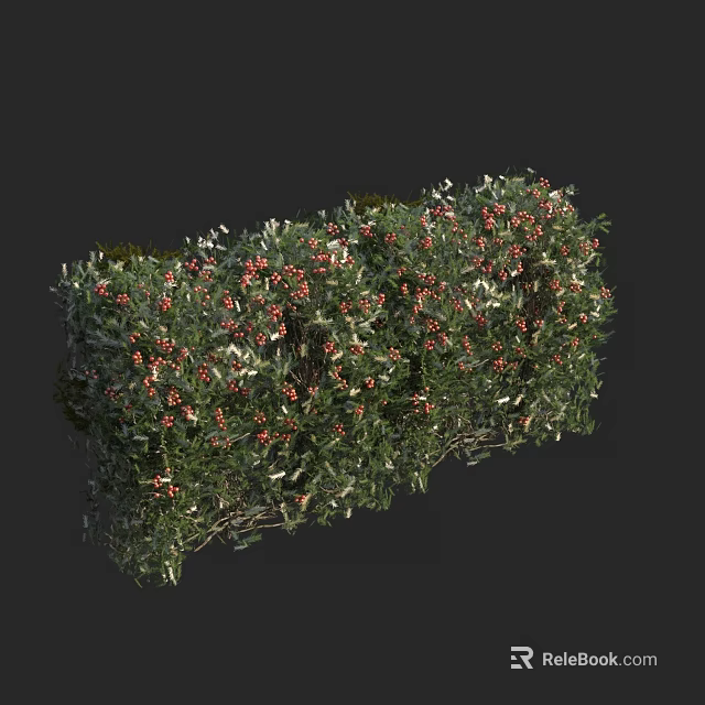 Lush Green Shrub With Red Berries And Dense Foliage For Garden Landscaping 3d model 