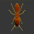 Detailed Red Cockroach With Long Antennae On Dark Reflective Surface 3d model