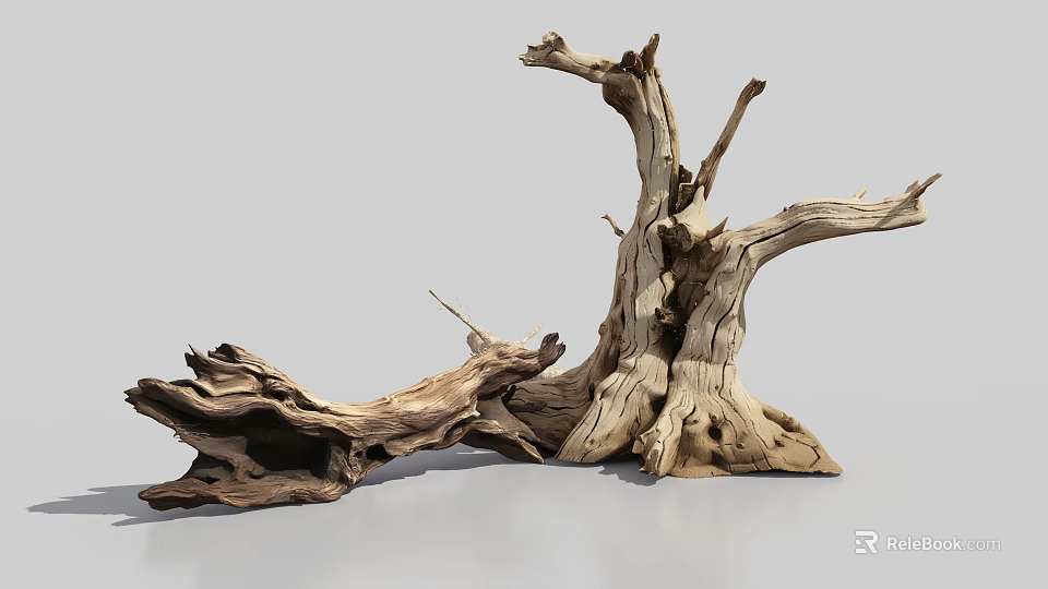 Arbor Trunk with Dry Wood Texture Weathered Branches and Exposed Roots 3d model 