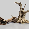Arbor Trunk with Dry Wood Texture Weathered Branches and Exposed Roots