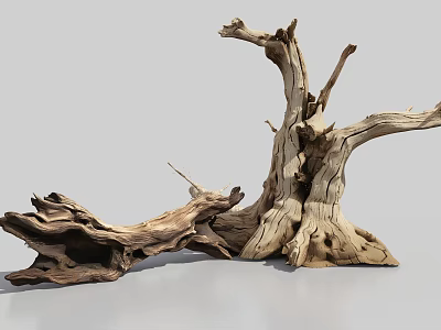Arbor Trunk with Dry Wood Texture Weathered Branches and Exposed Roots 3d model
