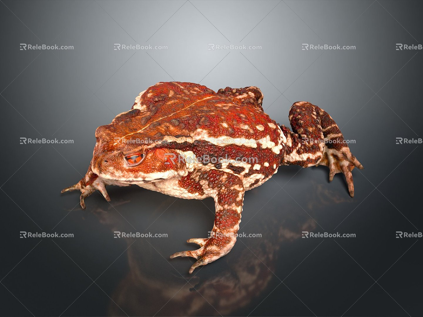 Frog Frog Frog Poison Frog Game Frog Reptile Cold Blooded Animal Reptile Reptile 3d model