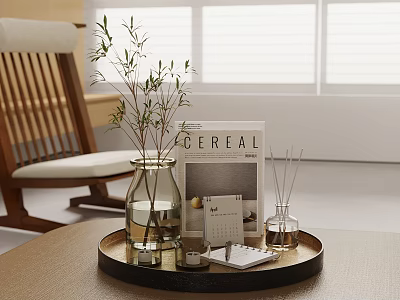 Minimalist Interior Decorative Tray With Green Plant Magazine Calendar And Diffuser 3d model