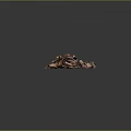 Organic Brown Shredded Material Pile with Natural Texture on Dark Background 3d model
