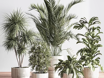 Decorative Ornament Set With Various Indoor Potted Greenery And White Ceramic Pots 3d model
