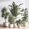 Decorative Ornament Set With Various Indoor Potted Greenery And White Ceramic Pots