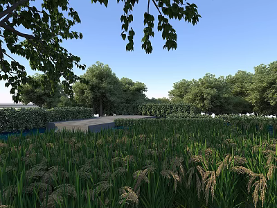 Natural Landscape With Tall Grass Field Hanging Branches Surrounding Trees And Blue Sky 3d model