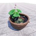 Garden Ornament With Terracotta Pot Lotus Leaves Flowers Goldfish Aquatic Plants On Gray Stone Tiles