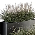Green Grassy Potted Plants In Black And Gray Rectangular Planters Arrangement 3d model
