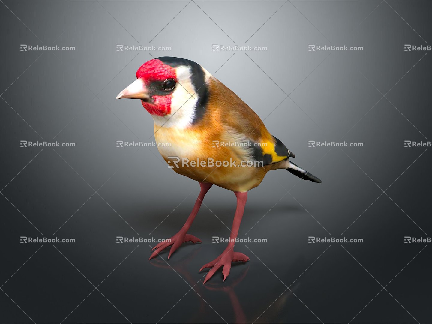 Peregrine Falcon Sparrow Pigeon Wingbird Pearl Bird Hummingbird Flamingbird Bird Bird Animal 3d model