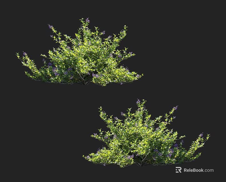 Green Leafy Shrubs With Purple Flowers For Garden Landscaping Lush Foliage And Vibrant Blooms 3d model 