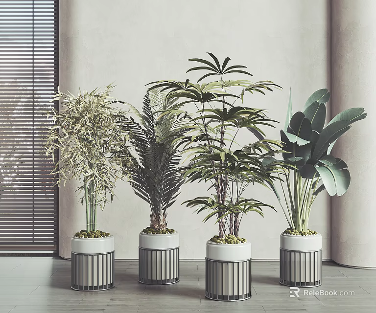 Modern Interior With Various Leafy Potted Plants In White Metal Frame Pots 3d model