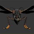 3D Rendered Fly Close Up Featuring Large Compound Eyes Transparent Wings And Orange Legs