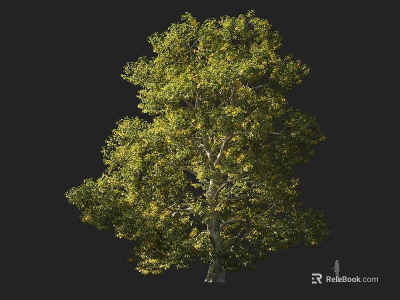 Large Arbor with Lush Green Foliage Thick Trunk and Human Silhouette 3d model 
