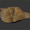 Wood Stone Natural Raw Piece in Orange Brown with Rough Texture and Natural Shape